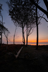 Naklejka premium Lichtstimmung am Abend am Darßer Weststrand, Nationalpark Vorpommersche Boddenlandschaft, Mecklenburg Vorpommern, Deutschland