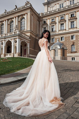 Fototapeta premium Bride near the castle. Bride in a wedding dress near the castle in the nature.