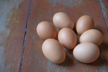 Egg