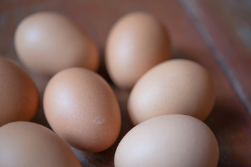 Eggs on wooden backgrounds