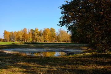 Herbst im Naturschutzgebiet Ried bei Grettstadt, Landkreis Schweinfurt, Unterfranken, Bayern, Deutschland