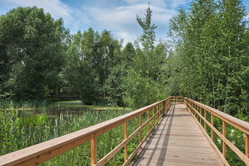 Summer landscape with a wooden walkway in the park on a sunny day
