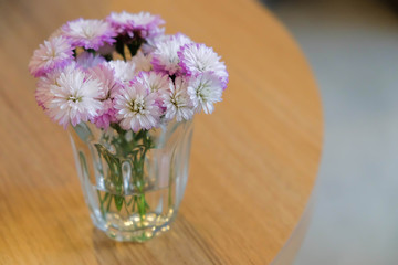 Mini flower in garden