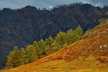 Russia. The South Of Western Siberia. Early autumn in the Altai mountains