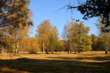 Herbst im Naturschutzgebiet Ried bei Grettstadt, Landkreis Schweinfurt, Unterfranken, Bayern, Deutschland