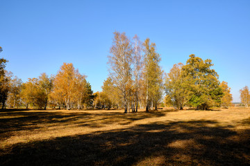 Herbst im Naturschutzgebiet Ried bei Grettstadt, Landkreis Schweinfurt, Unterfranken, Bayern, Deutschland