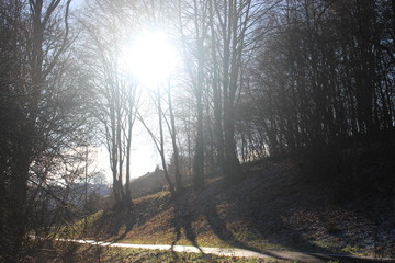 Der sonnige Fahrradweg