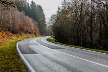 Fototapeta premium Empty winding asphalt forest road with a bend in the middle of a nature reserve, bare winter trees, fading into the background, calm cloudy day with a gray sky in the Belgian Ardennes