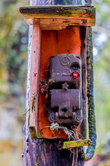 Old disused electricity control box, dirty with cobwebs on a wooden post against a blurred background, loose wires and plastic tubes damaged by time, sunny day in the forest at Belgian Ardennes