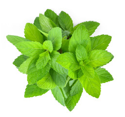 Fresh mint leafs isolated on a white background