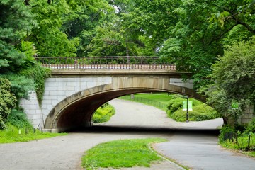 Fototapeta na wymiar Bridge in Central Park New York 