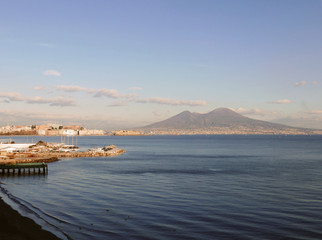 un gatto sui sassi davanti al mare di napoli