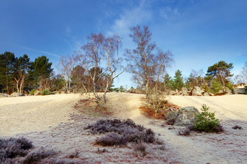 Rocks and fontainebleau sand in trois pignons forest