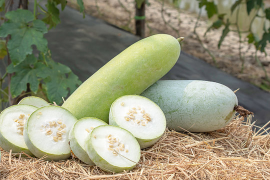 Winter melon is cut into pieces on the straw.