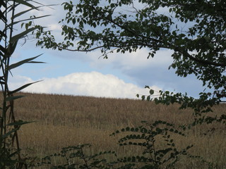 Paesaggio nuvoloso