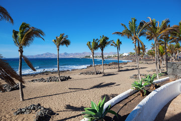 Puerto del Carmen beach in Lanzarote, Canary islands, Spain. blue sea, palm trees, selective focus