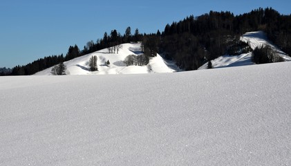 suisse alpine
