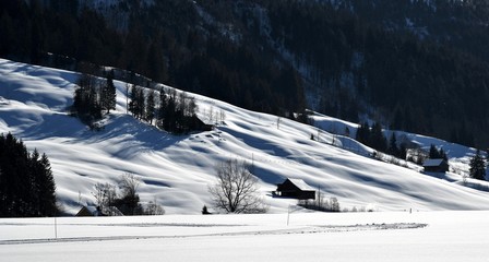 suisse alpine