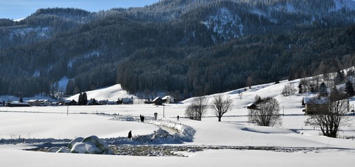 suisse alpine