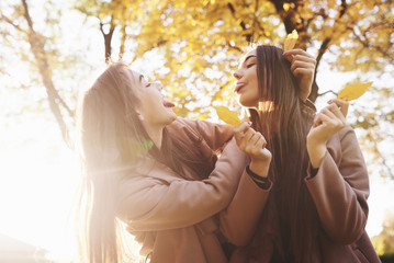 Side profile of young, pretty, brunette twin girls making funny faces, showing tongue and playing...