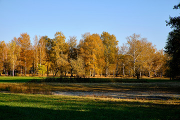 Herbst im Naturschutzgebiet Ried bei Grettstadt, Landkreis Schweinfurt, Unterfranken, Bayern, Deutschland