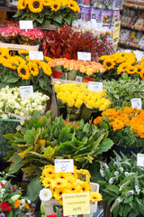 Colorful tulips on sale in Amsterdam flower market.  flowers at the market in Amsterdam, Netherlands