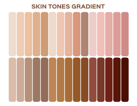 skin tone index color . infographic vector