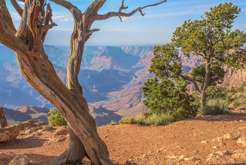 Majestic Vista of the Grand Canyon at Dusk