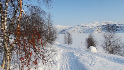 Norway; the landscape in wintertime near Kirkenes