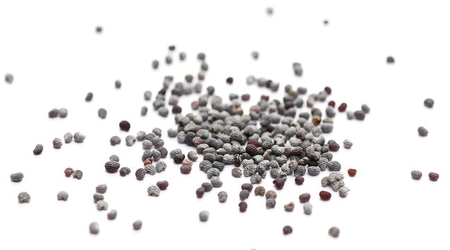 Poppy seeds isolated on white, macro
