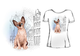 sphinx cat in the old European city  for t-shirt design