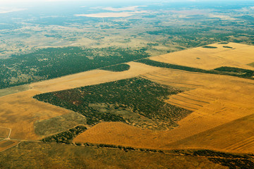 Australia, NSW, Agricultural Landscape