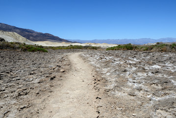 Salt Creek Trail in Death Valley National Park, California, USA