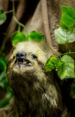 orquidario municipal