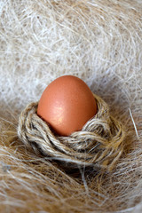 Egg in the nest.