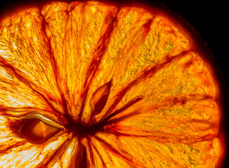 Backlit slice of dried orange on black background