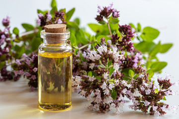 A bottle of oregano essential oil with fresh blooming oregano twigs