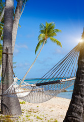 Obraz premium Hammock between palm trees and the sea..