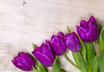 Bright bouquet of lilac tulips