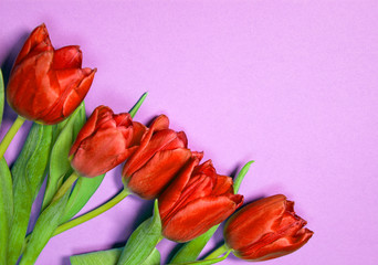 Bright bouquet o fred tulips