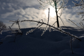Sonnenuntergang im Winterlichem Allgäu 