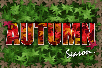 Autumn Season Nature wallpaper, Leafs illustration
