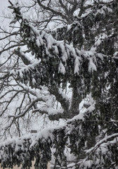 Close-up of a snowy yard with a table and benches during a snowstorm and blizzard 