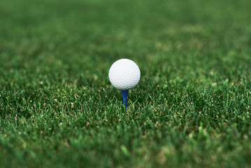 Close up photo of golf ball standing on the pin in the green lawn