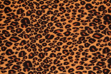 Textured background, close up of leopard spots.