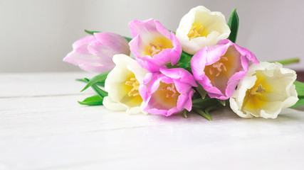 White and purple tulips on a white wooden background. Spring. International Women's Day. Valentine's Day. Selective focus.