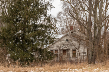 An abandoned house in the woods