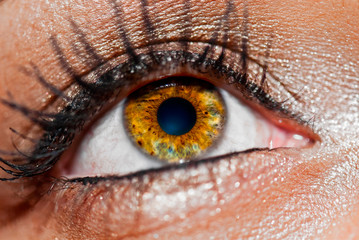 Eyes