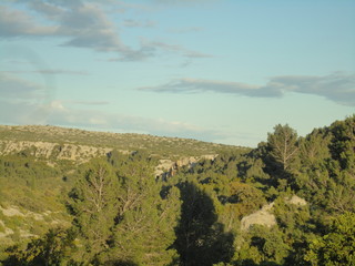Paysage de  Provence