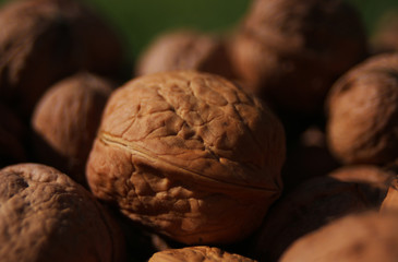 Walnuts in a pile